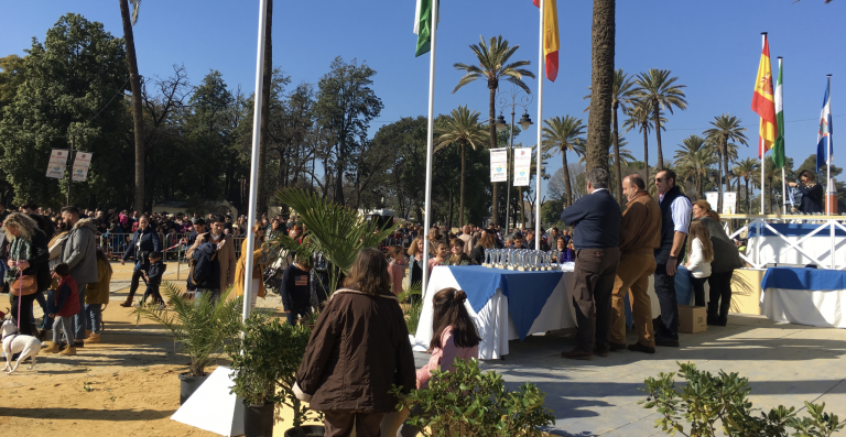 Captura de pantalla 2019-01-14 a las 21.41.40