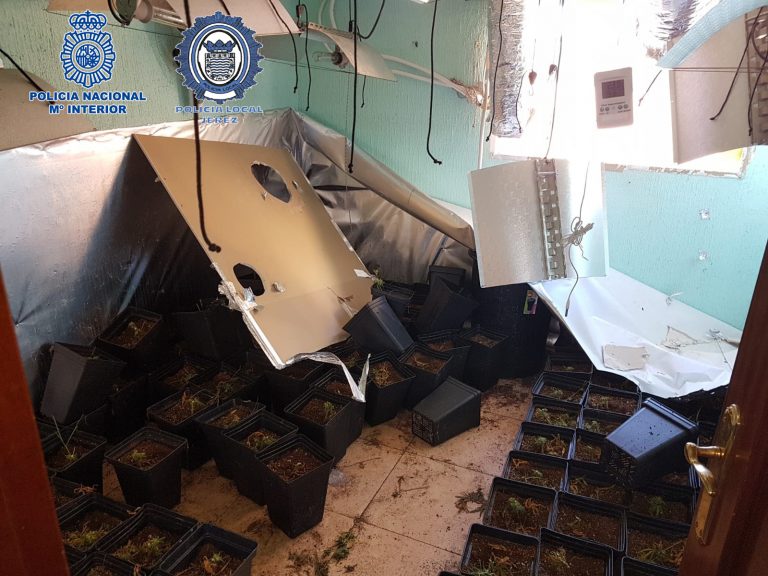 Incendio Jerez Televisión