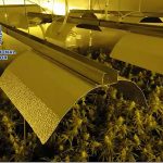 Marihuana 2 Jerez Televisión