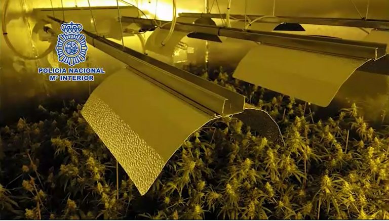 Marihuana 2 Jerez Televisión