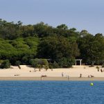 JEREZ TV PLAYA DE LA PUNTILLA