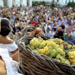 Fiestas vendimia Jerez Televisión