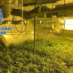 Plantación El Portal Jerez Televisión