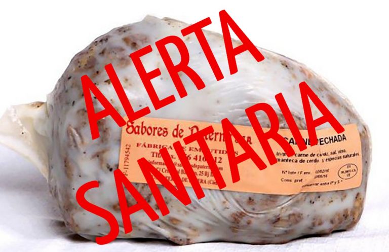 CARNE MECHADA SABORES DE PATERNA