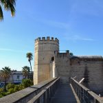 Alcázar Jerez Televisión