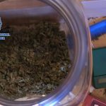 Marihuana Santo Tomás Jerez Televisión