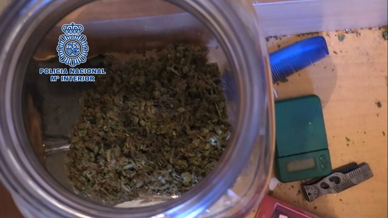 Marihuana Santo Tomás Jerez Televisión