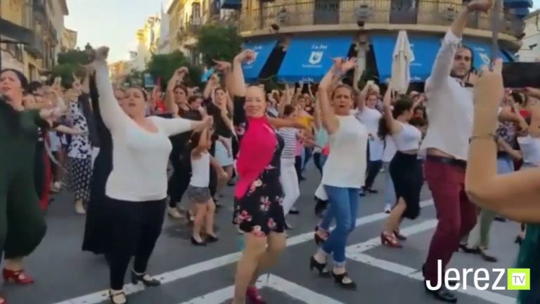 Jerez TV Flashmob flamenco