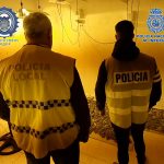 Plantación Marihuana Jerez Television