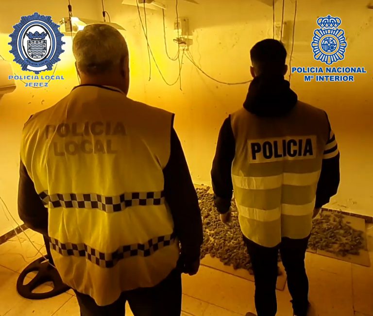 Plantación Marihuana Jerez Television