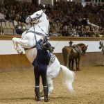 JEREZ TV REAL ESCUELA FITUR