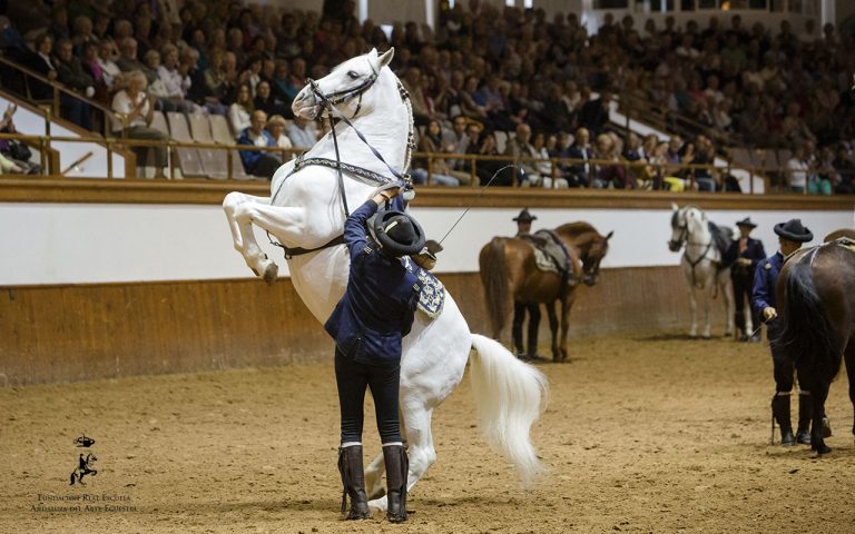 JEREZ TV REAL ESCUELA FITUR