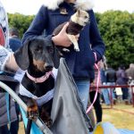 JEREZ TV SAN ANTON 2020 APLAZADO