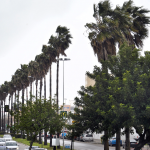 Captura de pantalla 2020-03-18 a las 16.19.23