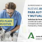 Captura de pantalla 2020-04-18 a las 12.21.24