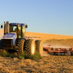 Campo andaluz Jerez Televisión