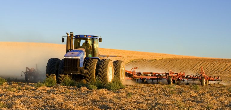 Campo andaluz Jerez Televisión