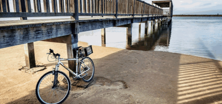 Captura de pantalla 2020-05-19 a las 17.55.30