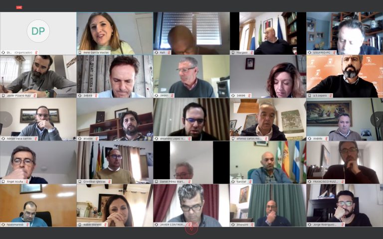 Consejo Diputación Jerez Televisión