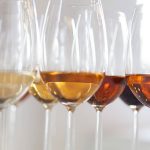 Planes con vino 7 Jerez Televisión