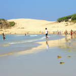 Captura de pantalla 2020-06-20 a las 17.31.36