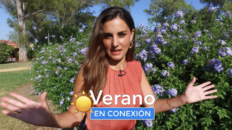 Captura de pantalla 2020-07-14 a las 21.38.58