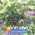 Captura de pantalla 2020-08-20 a las 19.28.32