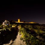 FOTOS VENDIMIA NOCTURNA 2
