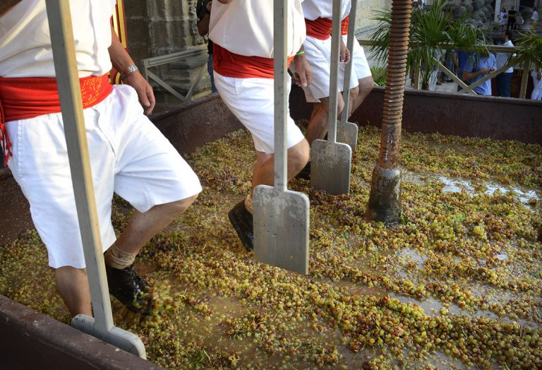 Jerez TV Pisa de la Uva
