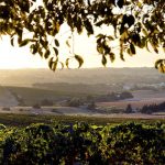 23:09 Dia_Mundial_Turismo_2020