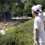 Captura de Pantalla 2020-09-04 a la(s) 10.43.45