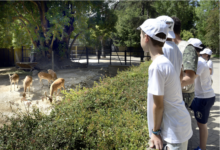 Captura de Pantalla 2020-09-04 a la(s) 10.43.45