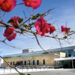 Captura de pantalla 2020-10-08 a las 21.55.25