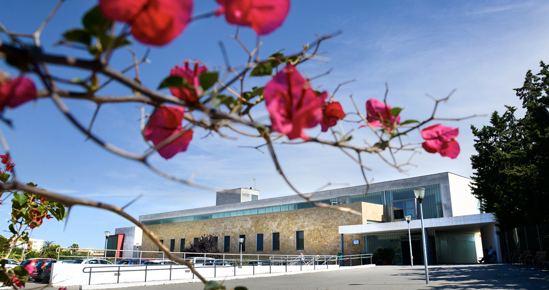 Captura de pantalla 2020-10-08 a las 21.55.25