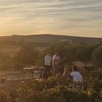 concierto viña Jerez Televisión