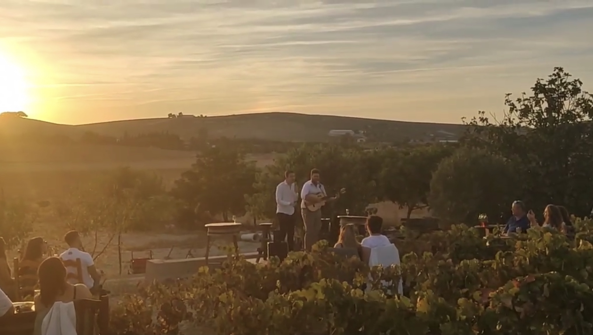 concierto viña Jerez Televisión