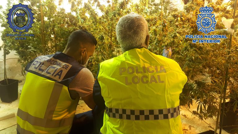 Jerez Plantación Marihuana Jerez Televisión