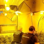 Plantaciones Marihuana viviendas sociales Jerez TV