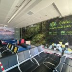 Vinilo diputación 1 Jerez Televisión