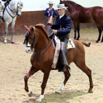 Captura de pantalla 2020-12-18 a las 14.42.42