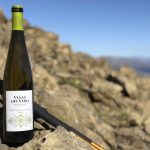 Viñas el Vero Jerez Televisión