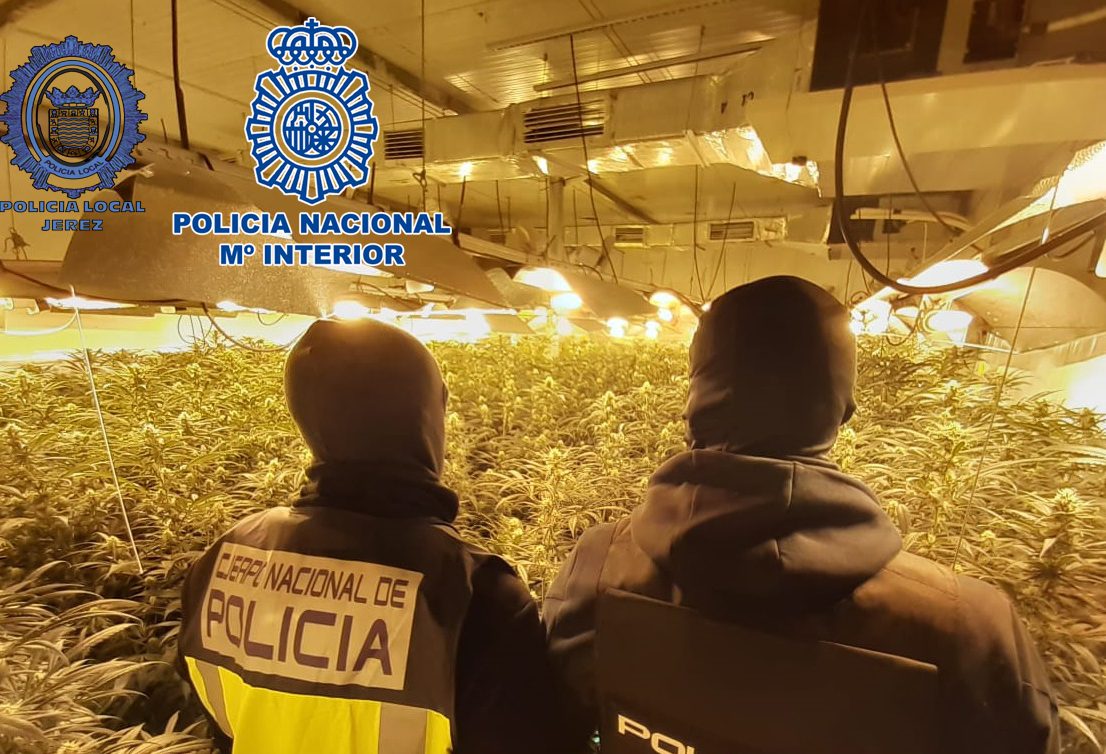 2021-03-15 Jerez Plantaciones Marihuana JEDULA (1)