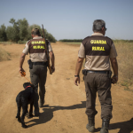 guarda rural SAE Jerez TV 2021