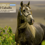 Pruebas Hipicas FC 2021