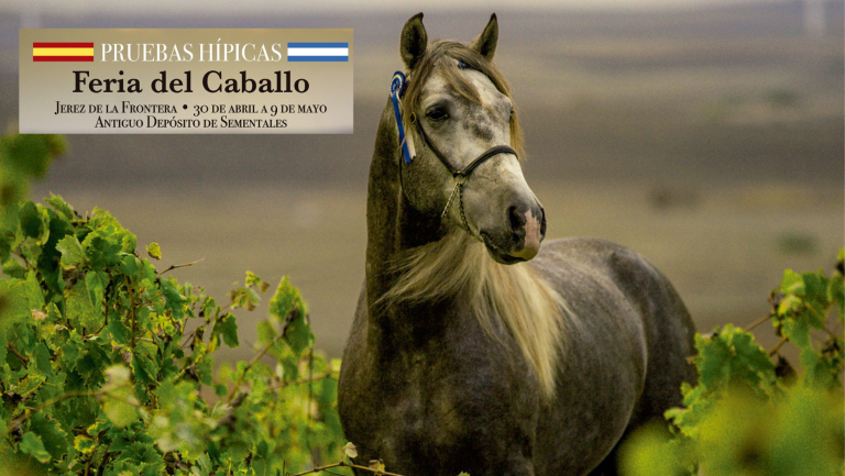 Pruebas Hipicas FC 2021