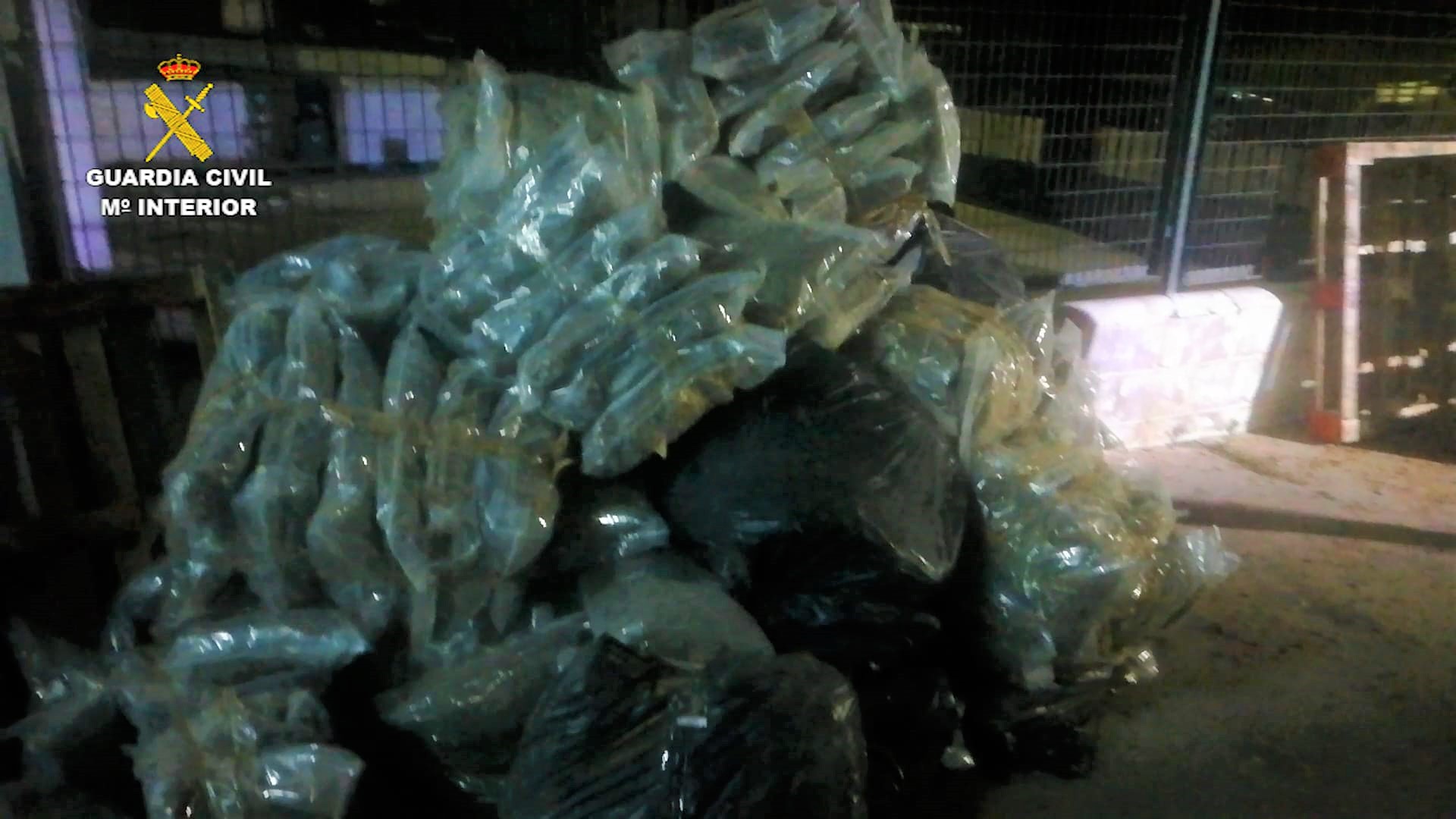 MARIHUANA PORTAL Jerez TV 2021 (2)