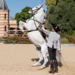 REAL ESCUELA cabriola (2)