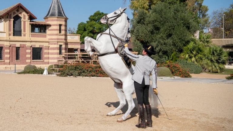 REAL ESCUELA cabriola (2)