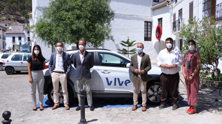 Hyundai VIVE
