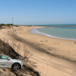 punta candor solera (3)